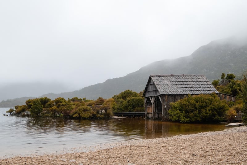 Tarkine Rainforest, Tasmania, Australia